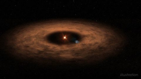 This artist's concept shows the dusty disk surrounding the star AU MIcroscopii. Astronomers have studied this system extensively but only recently identified the presence of a planet there. The find provides a laboratory for studying planet evolution and formation. (NASA's Goddard Space Flight Center/Chris Smith (USRA))