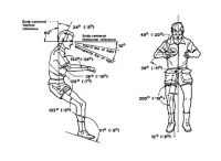 The neutral body posture shown here was created from measurements of 12 people onboard Skylab. (NASA)