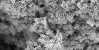 Nanoparticles of a car engine lubricant seen under an electron microscope. The particles’ sticky side builds up layers until there isn’t any more friction. (TriboTEX)