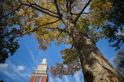 Austin Peay State University Campus. (APSU)