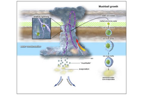 This graphic depicts the evolutionary process of "shallow lightning" and "mushballs" on Jupiter. (NASA/JPL-Caltech/SwRI/CNRS)