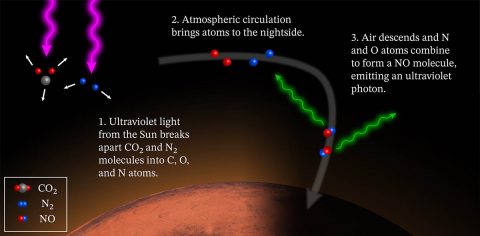 The diagram explains the cause of Mars’ glowing nightside atmosphere. On Mars’ dayside, molecules are torn apart by energetic solar photons. Global circulation patterns carry the atomic fragments to the nightside, where downward winds increase the reaction rate for the atoms to reform molecules. The downwards winds occur near the poles at some seasons and in the equatorial regions at others. The new molecules hold extra energy which they emit as ultraviolet light. (NASA/MAVEN/Goddard Space Flight Center/CU/LASP)