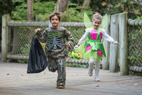 Boo at the Zoo returns this year to the Nashville Zoo. (Amiee Stubbs) Boo at the Zoo returns this year to the Nashville Zoo. (Amiee Stubbs)