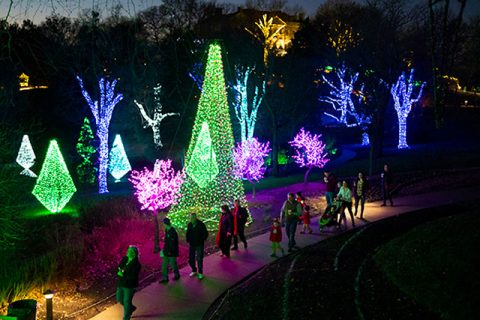 Cheekwood Estate and Gardens Holiday Lights