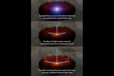 A disk of hot material around a supermassive black hole emits a burst of visible light, which travels out to a ring of dust that subsequently emits infrared light. The blue arrows show the light from the disk moving toward the dust and the light from both events traveling toward an observer. (NASA/JPL-Caltech)