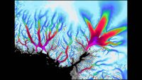 This data visualization shows the flow velocity of glaciers along Greenland’s coast. White represents the slowest-flow regions; light blue shows slightly faster regions, followed by shades of blue, then green and red. The fastest-moving regions are magenta. (NASA/JPL-Caltech/USGS)