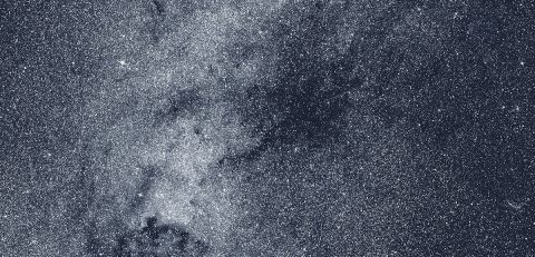 This detail of the TESS northern panorama features a region in the constellation Cygnus. At center, the sprawling dark nebula Le Gentil 3, a vast cloud of interstellar dust, obscures the light of more distant stars. A prominent tendril extending to the lower left points toward the bright North America Nebula, glowing gas so named for its resemblance to the continent. (NASA/MIT/TESS and Ethan Kruse (USRA))