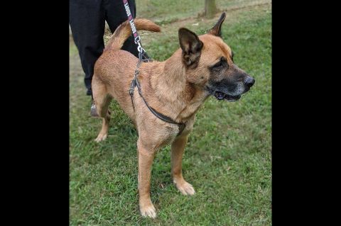 Sagley's Biker Bully Farm - LoJaxx