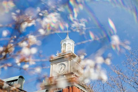 Austin Peay State University Campus in the Spring. (APSU)