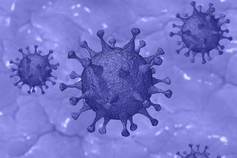 COVID-19 Coronavirus COVID-19 Coronavirus