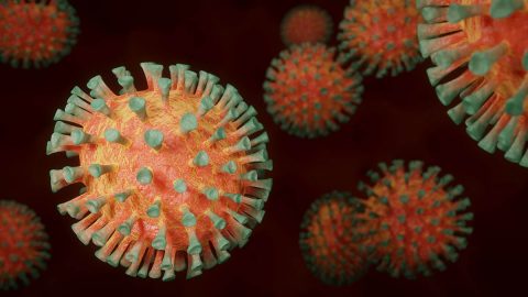 Spike in COVID-19 Coronavirus cases prompts temporary changes