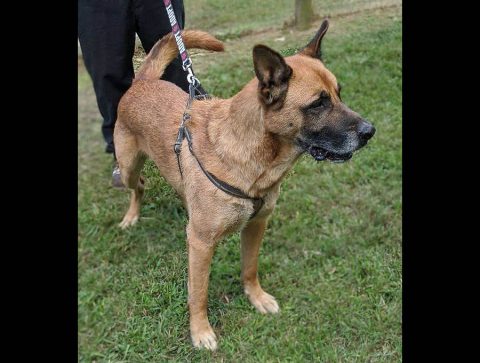 Sagley's Biker Bully Farm - LoJaxx