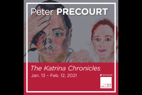 The Katrina Chronicles