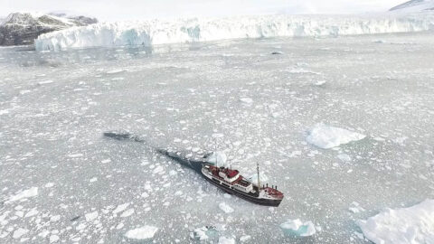 To measure water depth and salinity, the OMG project dropped probes by plane into fjords along Greenland's coast. Shown here is one such fjord in which a glacier is undercut by warming water. The Brown water is caused by sediment being dredged up from the base of the glacier by meltwater plumes. (NASA/JPL-Caltech)