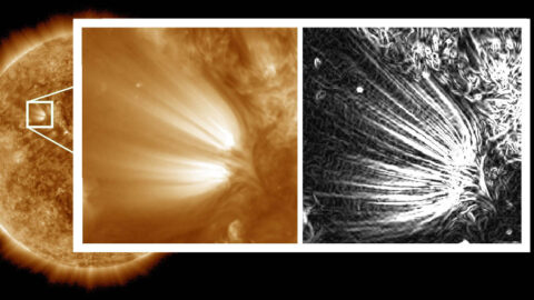 Scientists used image processing on high-resolution images of the Sun to reveal distinct “plumelets” within structures on the Sun called solar plumes. The full-disk Sun and the left side of the inset image were captured by NASA’s Solar Dynamics Observatory in a wavelength of extreme ultraviolet light and processed to reduce noise. The right side of the inset has been further processed to enhance small features in the images, revealing the edges of the plumelets in clear detail. (NASA/SDO/Uritsky, et al)