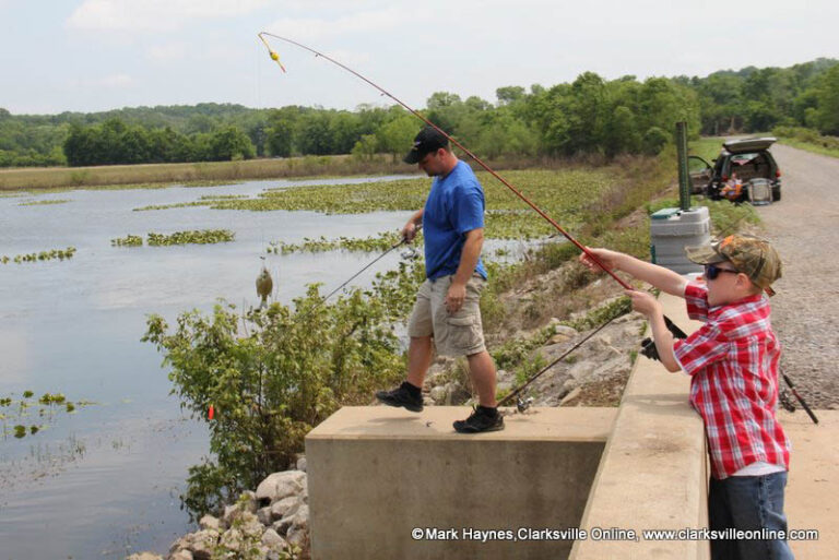 Tennessee, Cross Creeks National Wildlife Refuge Sanctuary Areas to