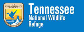 Tennessee National Wildlife Refuge