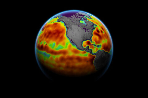 This map shows sea level measured by the Sentinel-6 Michael Freilich satellite from June 5th to 15th. Red areas are regions where sea level is higher than normal, and blue areas indicate areas where it's lower than normal. (NASA Earth Observatory)