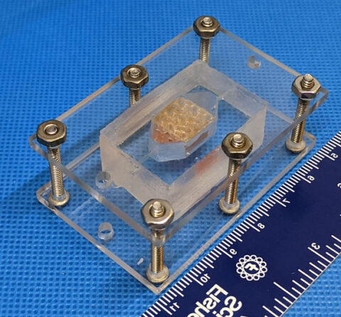Team Winston, the first-place winner of NASA's Vascular Tissue Challenge, used a chamber to hold the printed tissue and test a process called perfusion. (Wake Forest Institute for Regenerative Medicine)