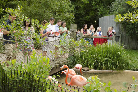 Nashville Zoo's Red, White & Zoo. (Caitlin Harris)