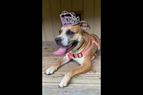 Sagley's Biker Bully Farm - Sophia Grace Sagley's Biker Bully Farm - Sophia Grace