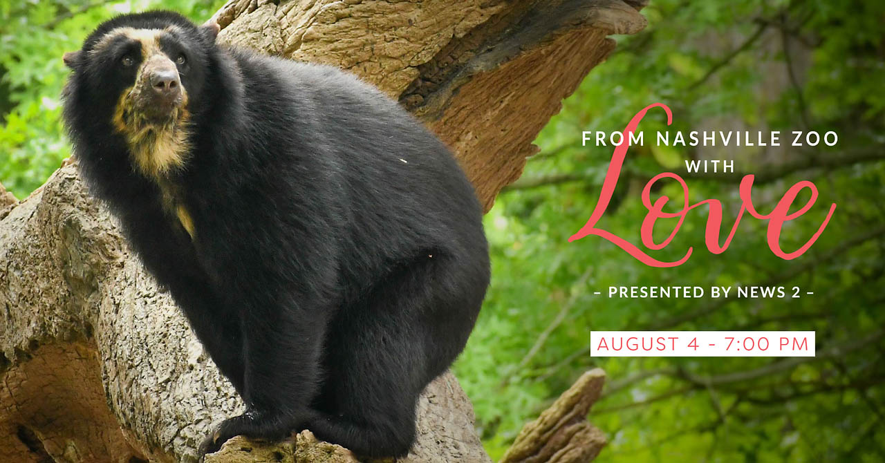 Nashville Zoo announces &ldquo;From Nashville Zoo with Love&rdquo; set for August 4th