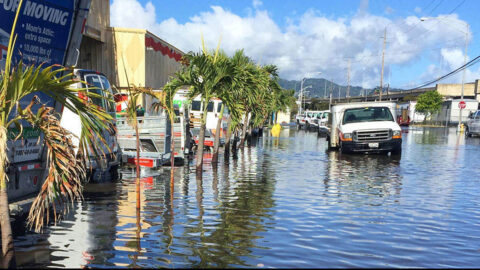 High-tide flooding in Honolulu. (Hawaii Sea Grant King Tides Project)