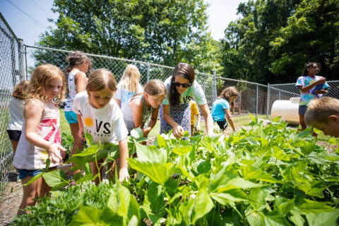 Govs Summer Camp participants work in the Predators Garden at Austin Peay State University. (APSU)