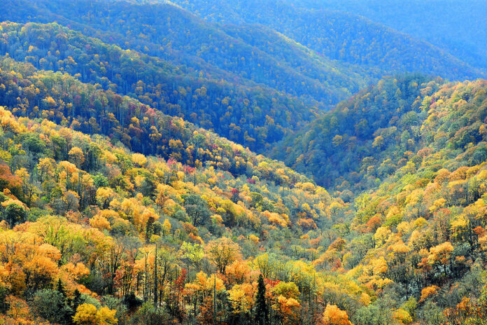 Autumn in Tennessee