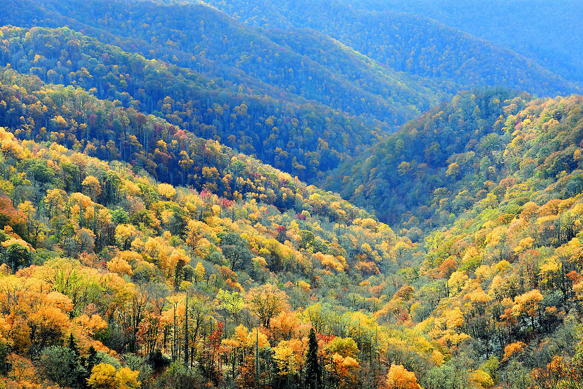 Tennessee - Natchez Trace Fall Foliage Viewing Event 