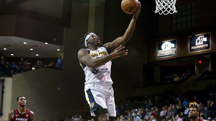 Terry Taylor was averaging 19.5 points and 12.2 rebounds with the Fort Wayne Mad Ants. (APSU Sports Information)