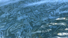 An oil slick from naturally occurring oil seeps off the coast of Santa Barbara, California. The Marine Oil Spill Thickness (MOST) project is using these natural seeps to test technology that can detect the thickest oil in a slick during an oil spill emergency. (NASA/JPL-Caltech)