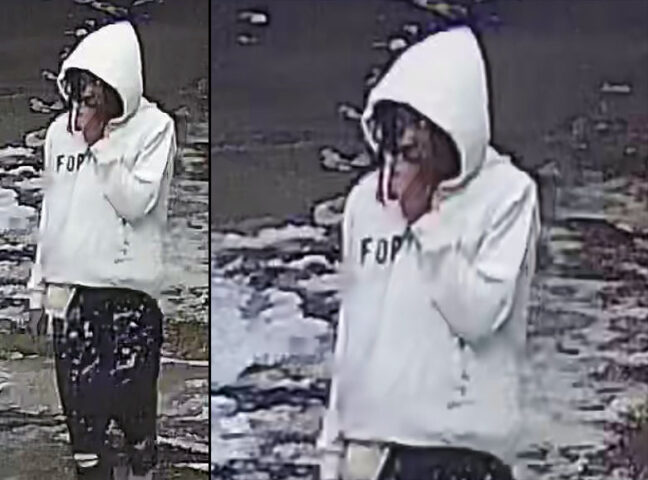 Clarksville Police Department asks public's help in identifying Vehicle ...