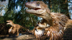 DinoTrek – Deinonychus