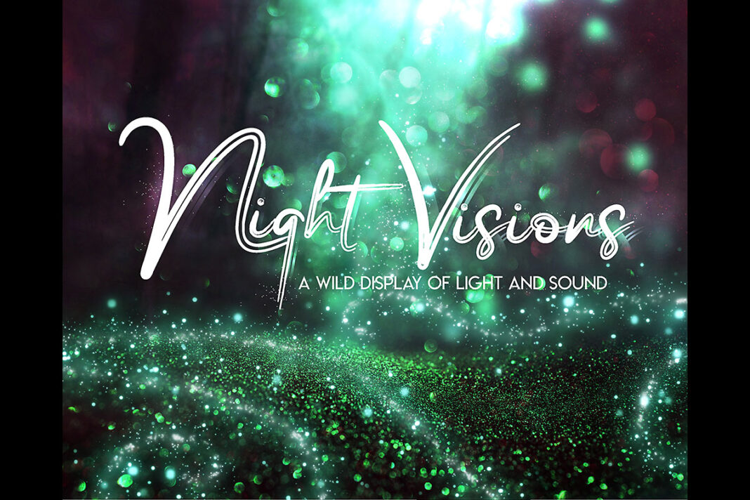 Nashville Zoo's "Night Visions a Wild Display of Light and Sound