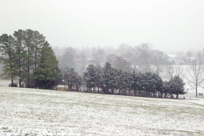 Snow. (Mark Haynes, ClarksvilleOnline.com)