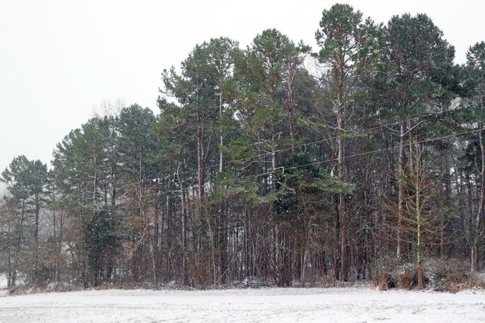 Snow. (Mark Haynes, ClarksvilleOnline.com)