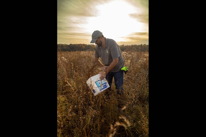 SGI’s Executive Director Dr. Dwayne Estes demonstrates how to collect bulk seed of common grassland species like narrowleaf sunflower. (Rebecca Johnson)