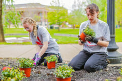 Austin Peay State University’s annual Plant the Campus Red. (APSU)