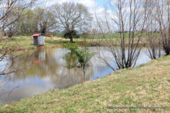 Billy McCraw Home and Strawberry Farm (47)