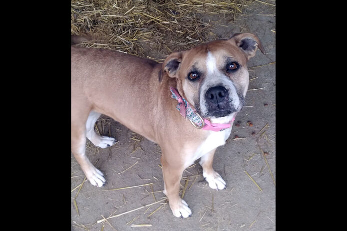 Sagley’s Biker Bully Farm - Sophia Grace