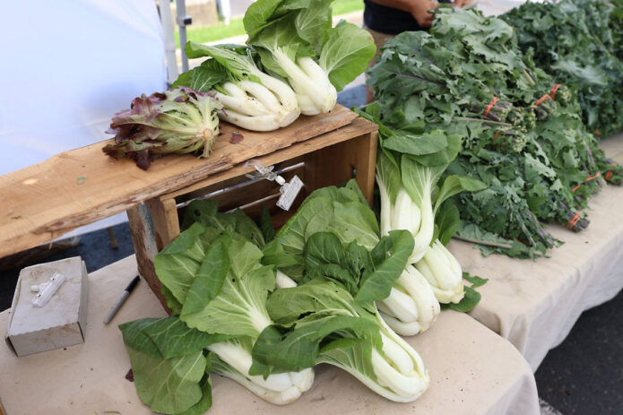 Clarksville Downtown Market. (Mark Haynes, Clarksville Online)