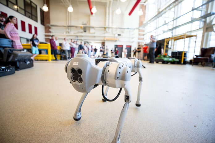 Austin Peay State University students and employees watch as Unitree quadruped robots venture around the room. (APSU)