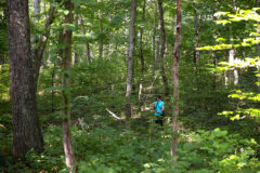 Jessie Verrillo helps to track a tricolored bat in the Fort Campbell woods. (APSU)