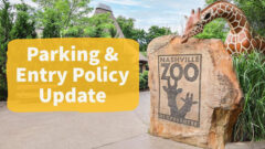 Nashville Zoo Ticketing Changes Roll Out