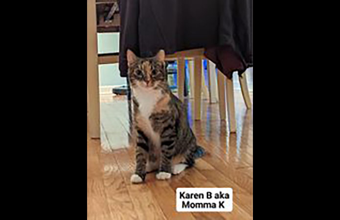 Puurrrfect Paws Rescue & Cat Cafe - Karen-Momma