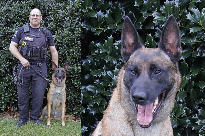 Clarksville Police Department Officer Casey Stanton and K9 Police Dog “Vader”.