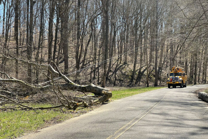 Cumberland Electric Membership Corporation crew working on a tree that fell and took down a power line. (CEMC)