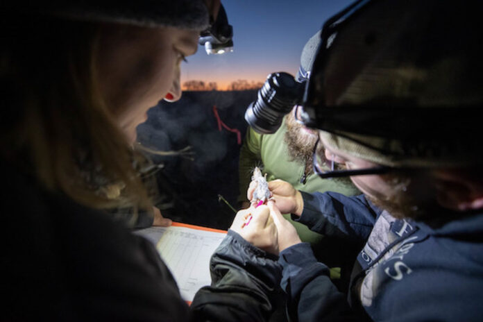 Dr. Catherine Haase and Austin Peay State University wildlife technicians. (APSU)