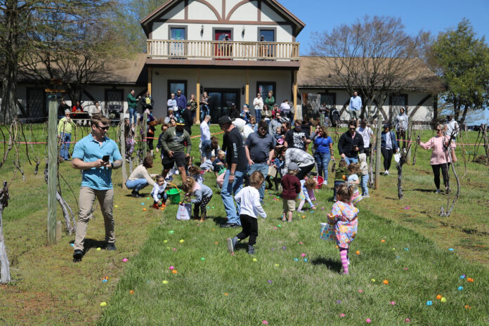 Beachaven Vineyards & Winery hosts Easter Egg Hunt for Kids 10 and under and adults 21 and over. (Clarksville Online) Beachaven Vineyards & Winery hosts Easter Egg Hunt for Kids 10 and under and adults 21 and over. (Clarksville Online)